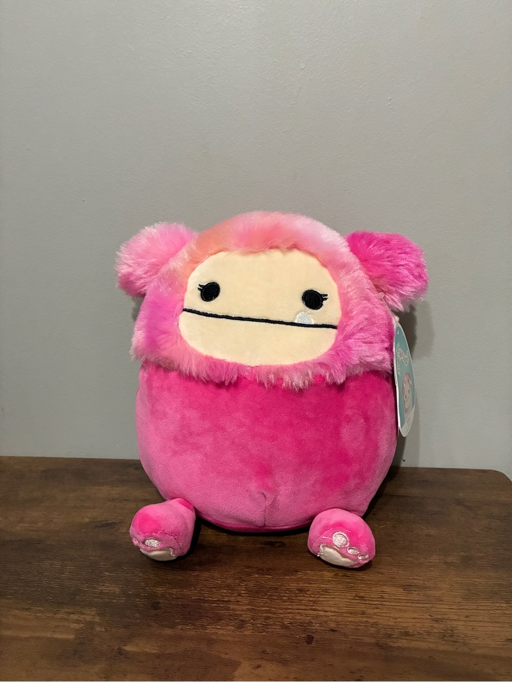BNWT Hailey 8” Squishmallow